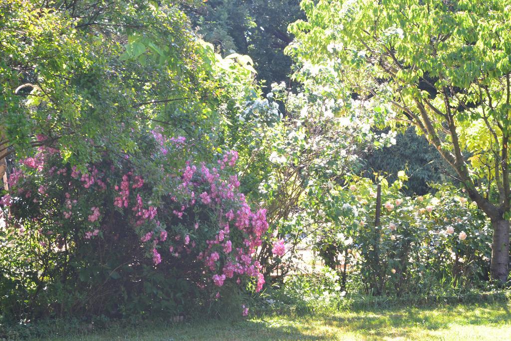 Le Pavillon - Bed & Breakfast Vedene