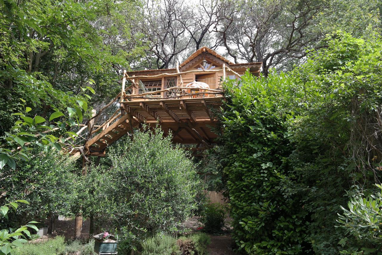 Le Pavillon - Vedene